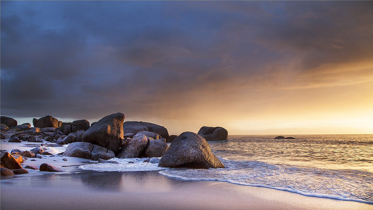 Landscape 6